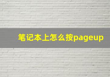 笔记本上怎么按pageup