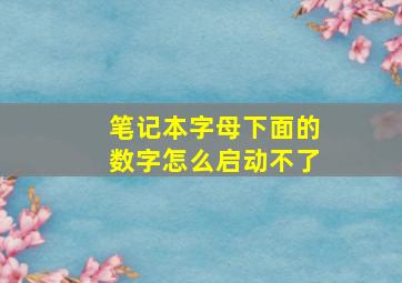 笔记本字母下面的数字怎么启动不了