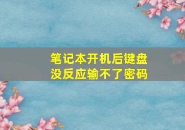 笔记本开机后键盘没反应输不了密码