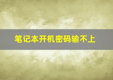 笔记本开机密码输不上