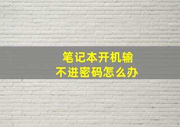 笔记本开机输不进密码怎么办