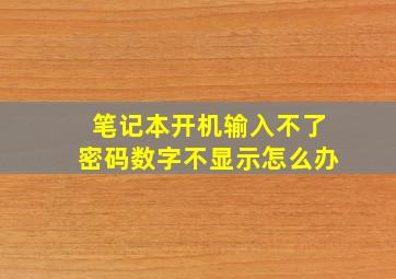 笔记本开机输入不了密码数字不显示怎么办