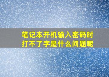 笔记本开机输入密码时打不了字是什么问题呢