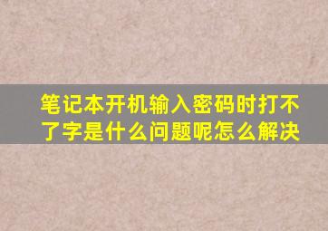 笔记本开机输入密码时打不了字是什么问题呢怎么解决