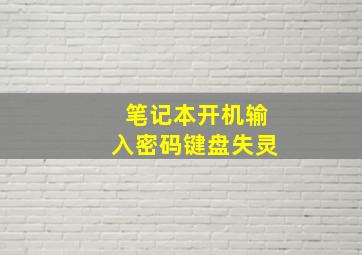 笔记本开机输入密码键盘失灵