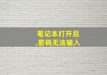 笔记本打开后,密码无法输入