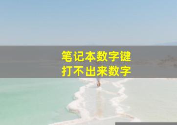 笔记本数字键打不出来数字