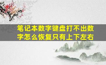 笔记本数字键盘打不出数字怎么恢复只有上下左右