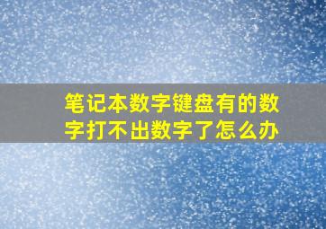 笔记本数字键盘有的数字打不出数字了怎么办