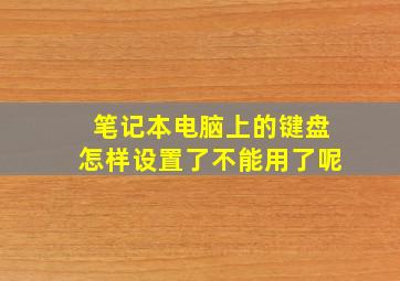 笔记本电脑上的键盘怎样设置了不能用了呢