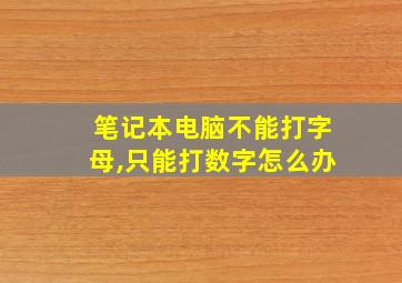 笔记本电脑不能打字母,只能打数字怎么办