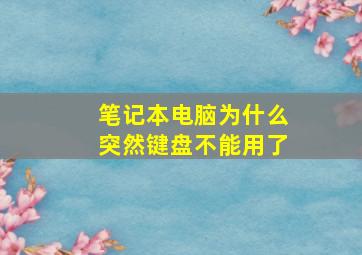 笔记本电脑为什么突然键盘不能用了