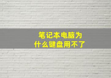 笔记本电脑为什么键盘用不了