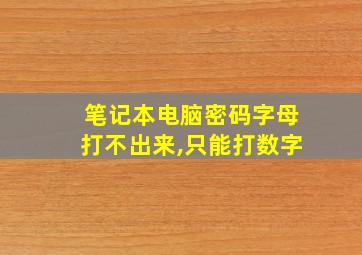 笔记本电脑密码字母打不出来,只能打数字