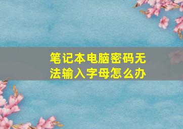 笔记本电脑密码无法输入字母怎么办