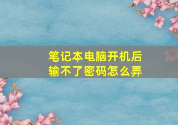 笔记本电脑开机后输不了密码怎么弄