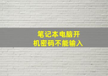 笔记本电脑开机密码不能输入