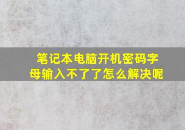 笔记本电脑开机密码字母输入不了了怎么解决呢