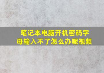 笔记本电脑开机密码字母输入不了怎么办呢视频