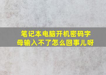 笔记本电脑开机密码字母输入不了怎么回事儿呀