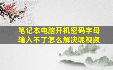 笔记本电脑开机密码字母输入不了怎么解决呢视频