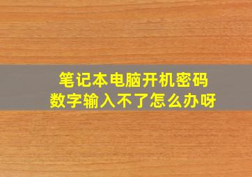 笔记本电脑开机密码数字输入不了怎么办呀