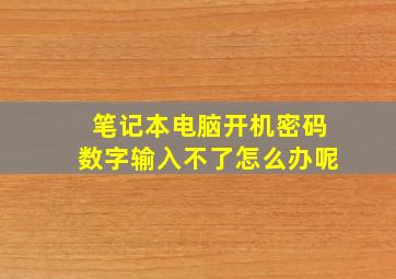 笔记本电脑开机密码数字输入不了怎么办呢