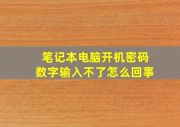 笔记本电脑开机密码数字输入不了怎么回事