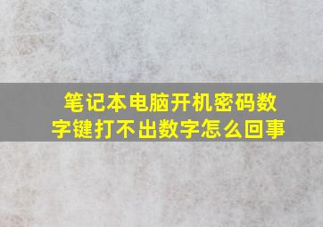 笔记本电脑开机密码数字键打不出数字怎么回事