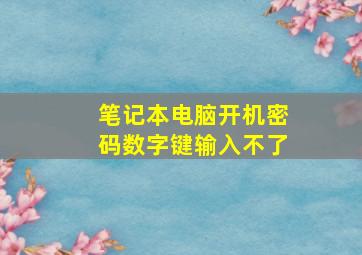 笔记本电脑开机密码数字键输入不了