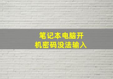 笔记本电脑开机密码没法输入