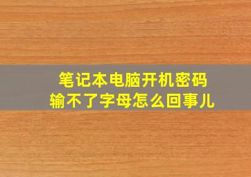 笔记本电脑开机密码输不了字母怎么回事儿