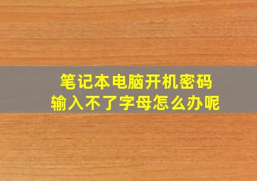 笔记本电脑开机密码输入不了字母怎么办呢