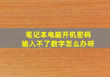 笔记本电脑开机密码输入不了数字怎么办呀