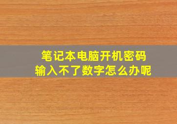 笔记本电脑开机密码输入不了数字怎么办呢