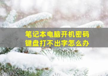 笔记本电脑开机密码键盘打不出字怎么办