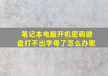 笔记本电脑开机密码键盘打不出字母了怎么办呢