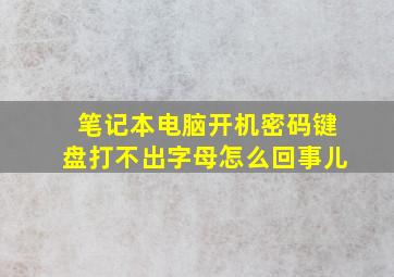 笔记本电脑开机密码键盘打不出字母怎么回事儿