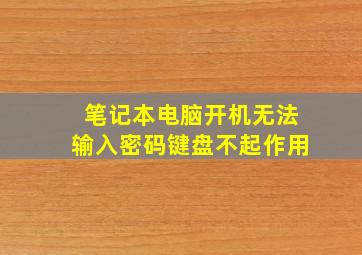 笔记本电脑开机无法输入密码键盘不起作用