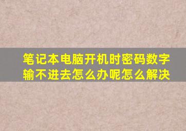 笔记本电脑开机时密码数字输不进去怎么办呢怎么解决