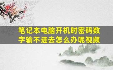 笔记本电脑开机时密码数字输不进去怎么办呢视频