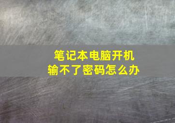 笔记本电脑开机输不了密码怎么办