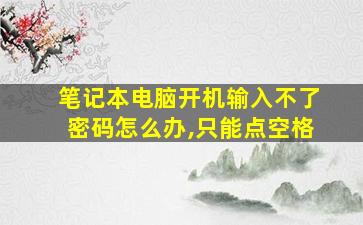 笔记本电脑开机输入不了密码怎么办,只能点空格