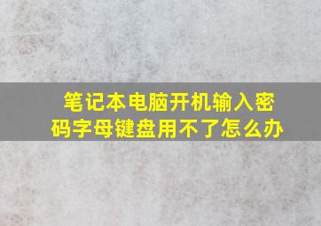 笔记本电脑开机输入密码字母键盘用不了怎么办