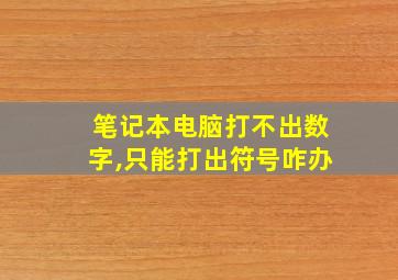 笔记本电脑打不出数字,只能打出符号咋办