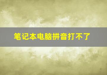 笔记本电脑拼音打不了