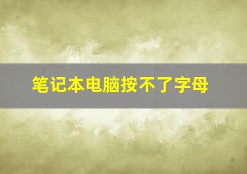 笔记本电脑按不了字母