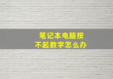 笔记本电脑按不起数字怎么办