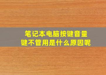 笔记本电脑按键音量键不管用是什么原因呢