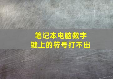 笔记本电脑数字键上的符号打不出